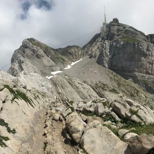 d909647f-ba0a-43b3-8381-acf606378336 d909647f-ba0a-43b3-8381-acf606378336