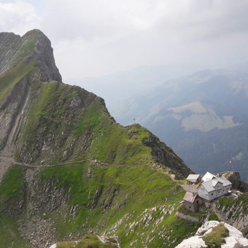 8b53b9e9-1403-499f-b643-557074ffb2ab 8b53b9e9-1403-499f-b643-557074ffb2ab