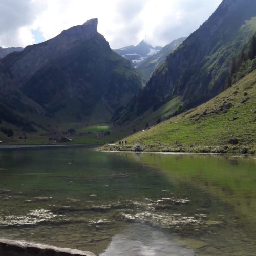 fc2b59fc-589d-4396-b38e-03d025dbff88 fc2b59fc-589d-4396-b38e-03d025dbff88