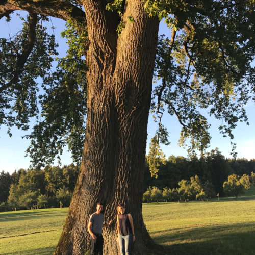 kp-baum-zusammen-small kp-baum-zusammen-small